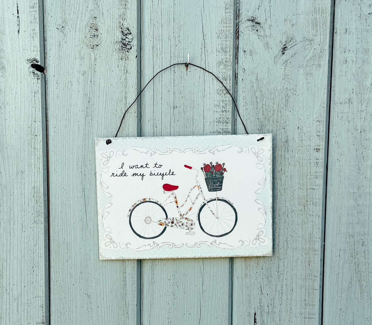 I want to ride my bicycle