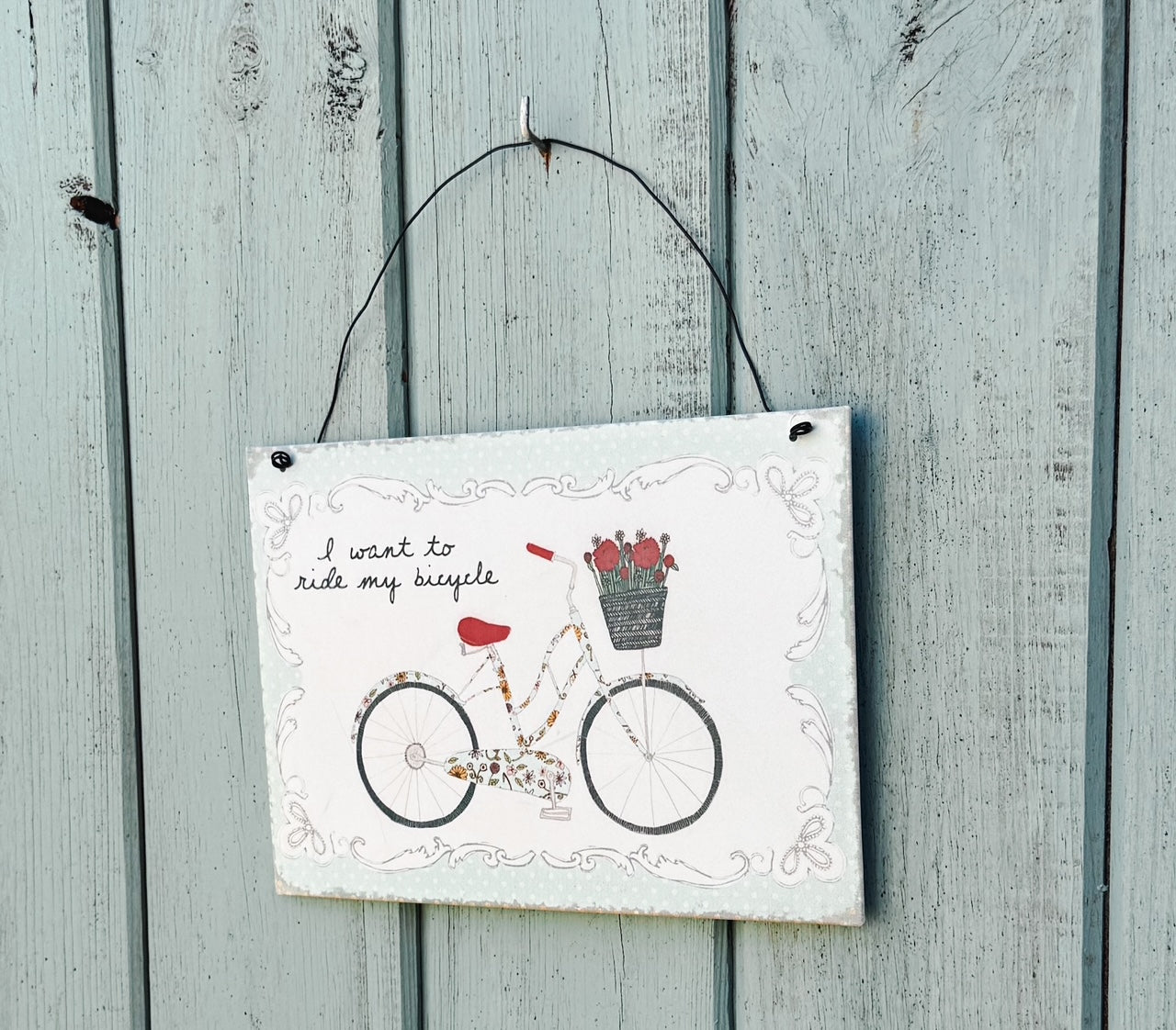 I want to ride my bicycle